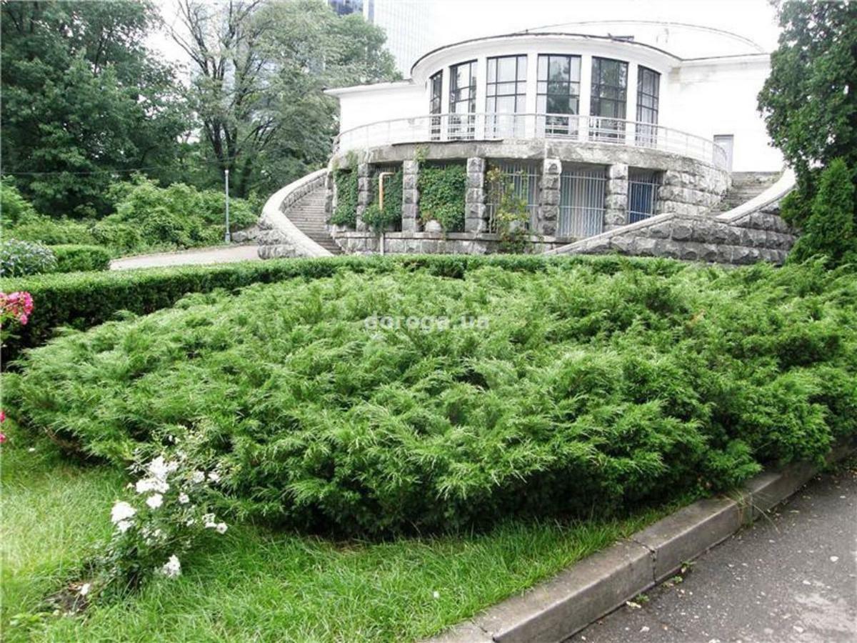 Kyiv Top Location 60M2 Apt In Old City Fast Wifi Selfchekin Ngoại thất bức ảnh